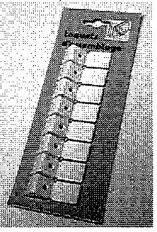 3601 - Taquets blanc x8