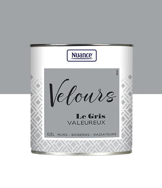 453918 - Peinture Velours - Gris valeur