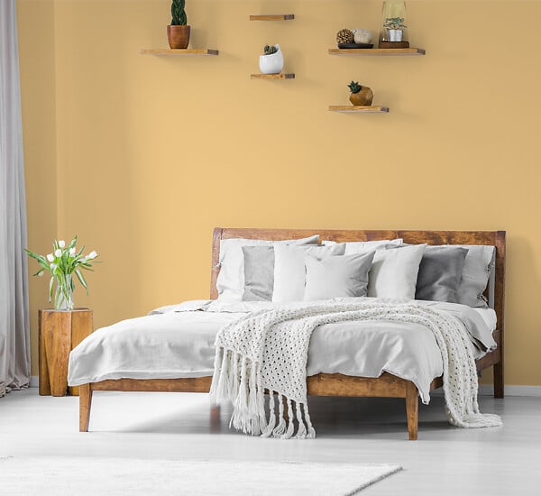 H20135-0L05 - Testeur peinture MonoCrème -