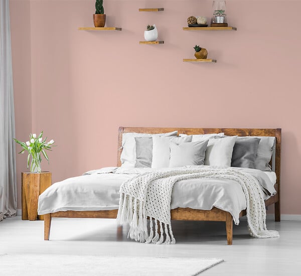 H20180-0L05 - Testeur peinture MonoCrème -