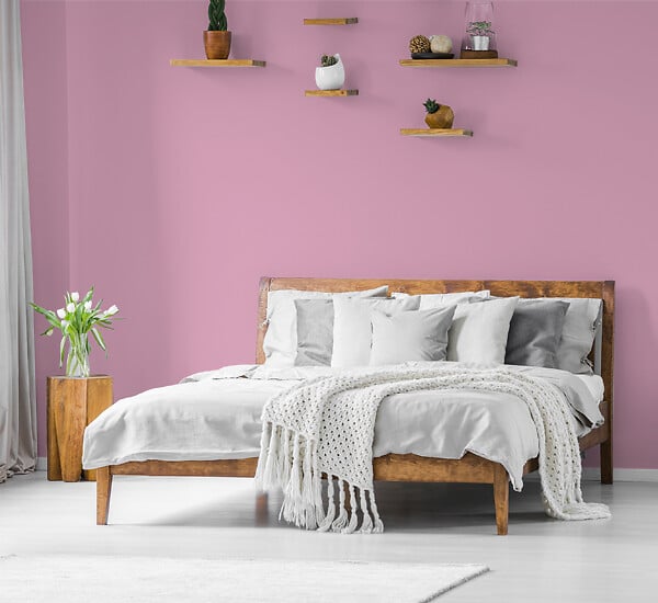 H20181-0L05 - Testeur peinture MonoCrème -