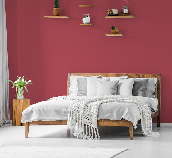 H20183-0L05 - Testeur peinture MonoCrème -