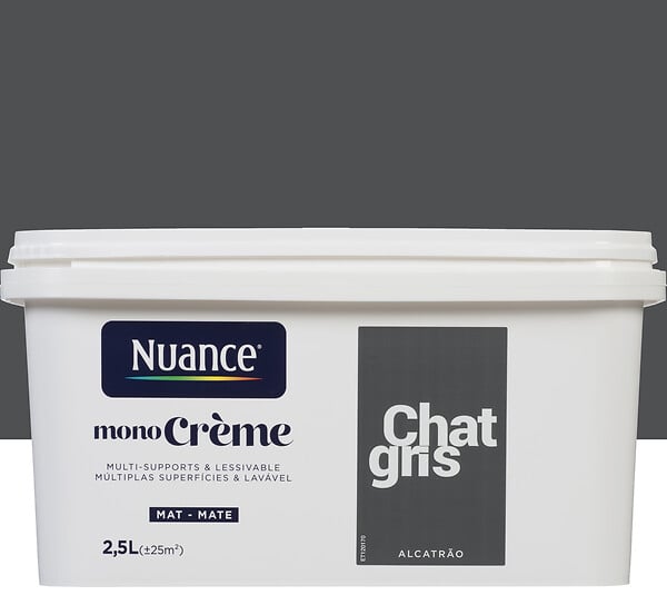 3505391055280 - Peinture MonoCrème - Chat gri