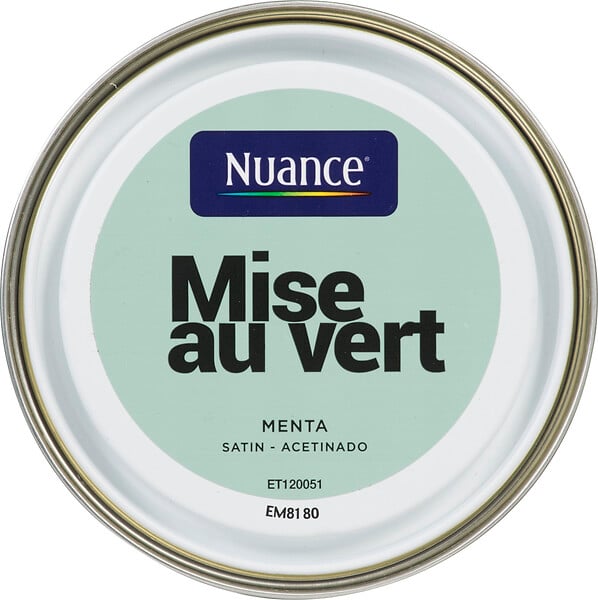 3505391056621 - Peinture MonoCrème - Mise au
