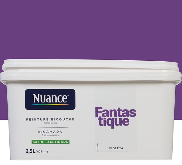H17328-2L5 - Peinture bicouche - Fantastiqu