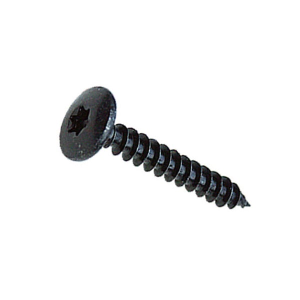 S4028027 - Pack de 200 vis Torx spéciale