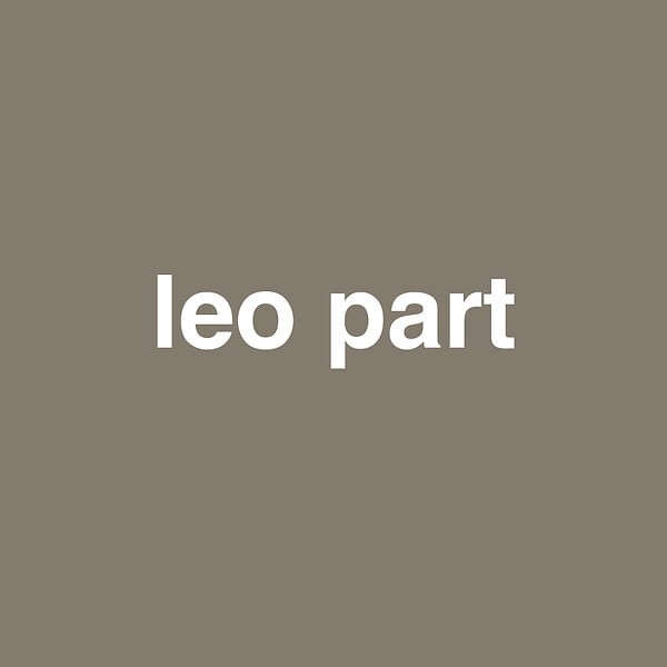 3505391059349 - Peinture bicouche - Leo part -