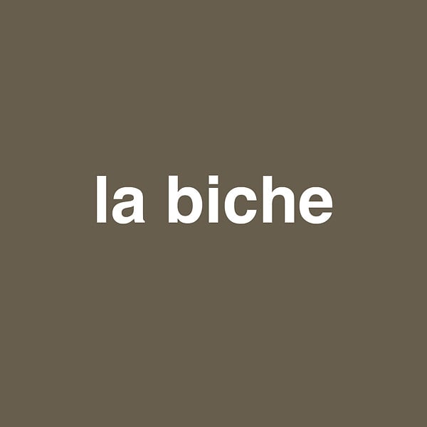 3505391059363 - Peinture bicouche - La biche -