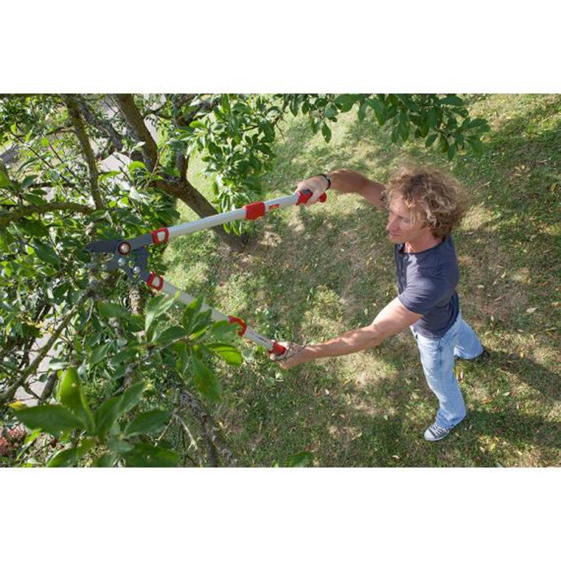 Elagueur Premium télescopique à enclume 50 mm OUTILS WOLF OR900T - Powercut