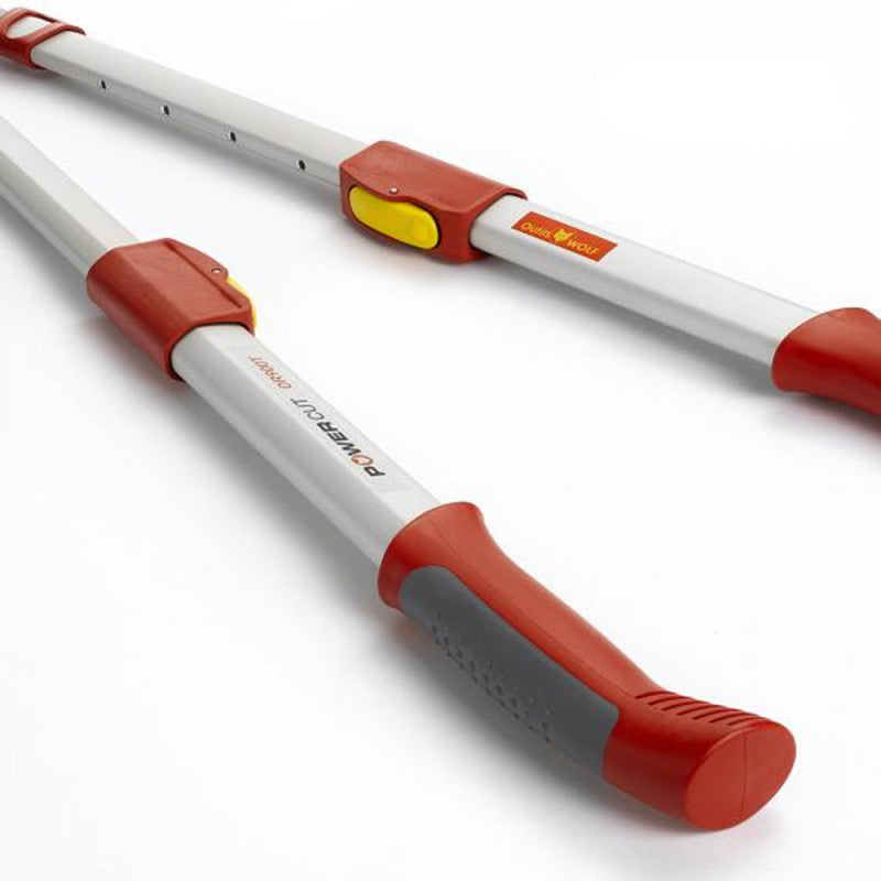 Elagueur Premium télescopique à enclume 50 mm OUTILS WOLF OR900T - Powercut