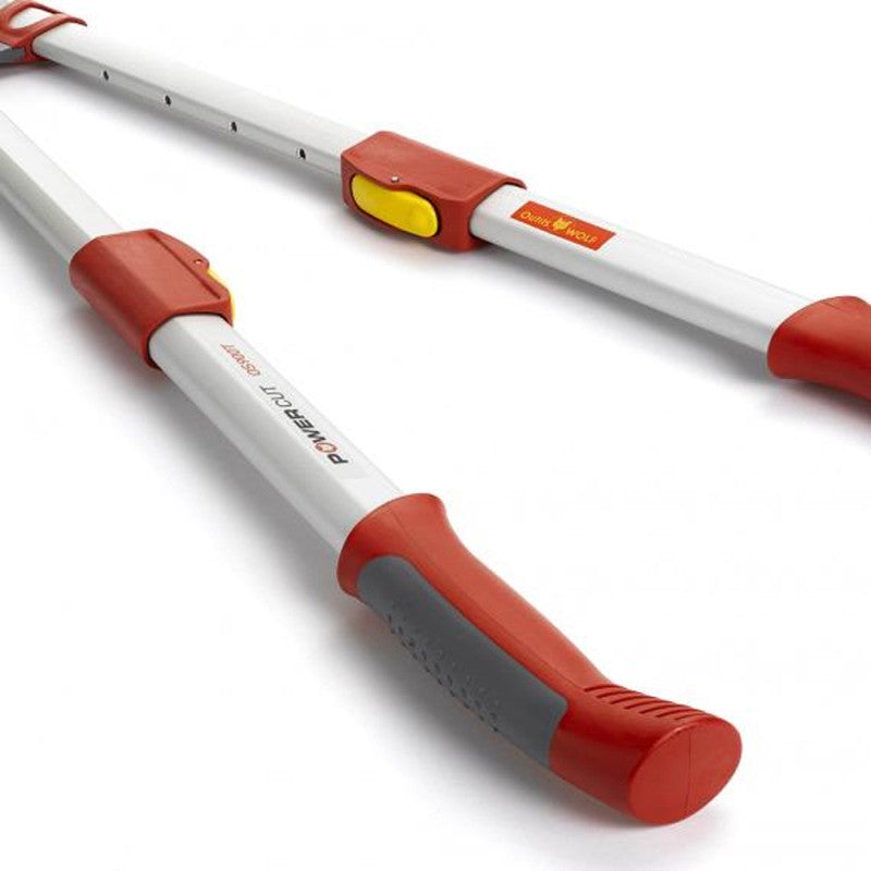 Elagueur télescopique à coupe franche 50 mm OUTILS WOLF OS900T - Powercut