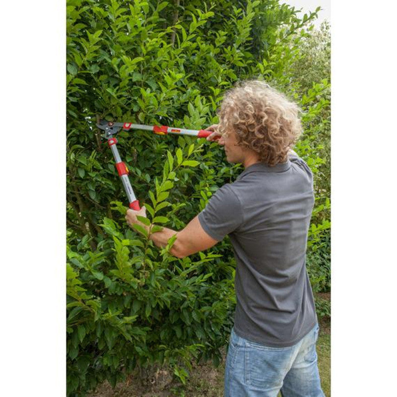 Elagueur télescopique à coupe franche 50 mm OUTILS WOLF OS900T - Powercut