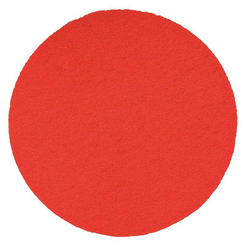 Plateau Éponge Synthétique fine CB-37725 pour Talocheuse EPG400 et EPG400WP