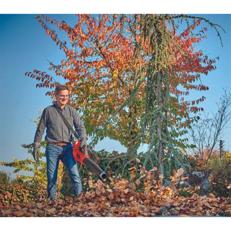 Souffleur de feuilles sans fil EINHELL 3433620 GE-LB 36/210 Li E-Solo Power X-Change (produit seul)