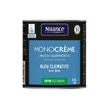 H20152-0L5 - Peinture MonoCrÃ¨me - Bleu clÃ
