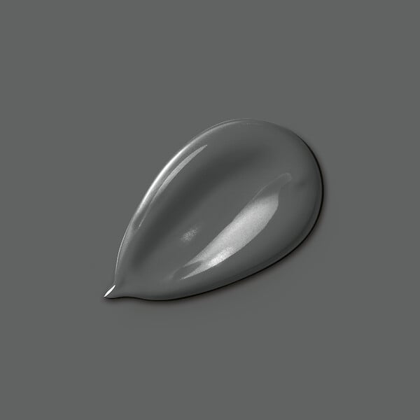 H20169-0L5 - Peinture MonoCrÃ¨me - Gris ard