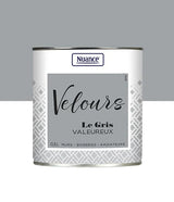 453918 - Peinture Velours - Gris valeur
