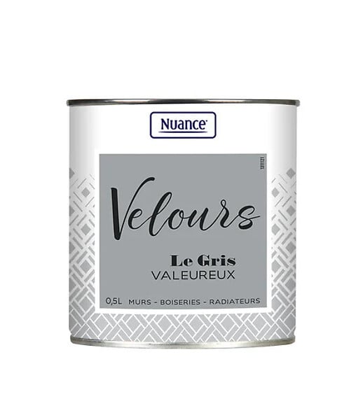 453918 - Peinture Velours - Gris valeur
