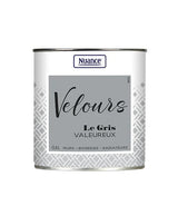 453918 - Peinture Velours - Gris valeur