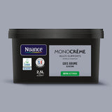 H20171-2L5 - Peinture MonocrÃ¨me - Gris bru