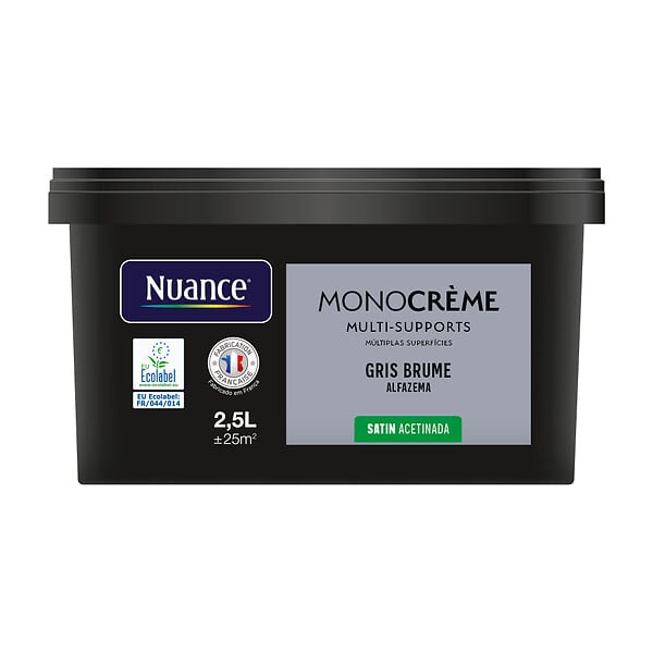 H20171-2L5 - Peinture MonocrÃ¨me - Gris bru