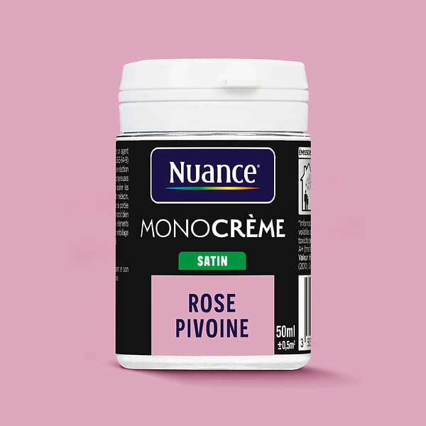 H20181-0L05 - Testeur peinture MonoCrÃ¨me -