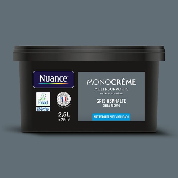 H20131-2L5 - Peinture MonocrÃ¨me - Gris asp