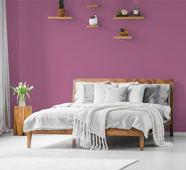 H20165-0L05 - Testeur peinture MonoCrÃ¨me -