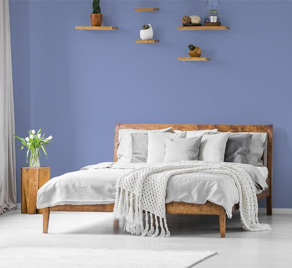 H20176-0L05 - Testeur peinture MonoCrÃ¨me -