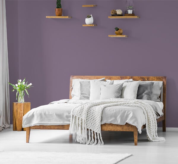 H20147-0L05 - Testeur peinture MonoCrÃ¨me -