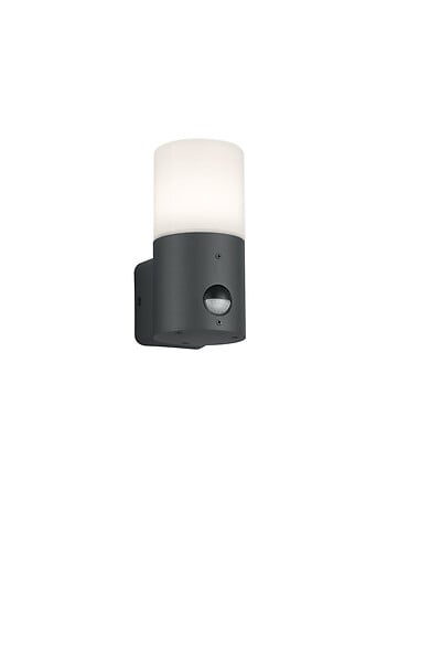Applique murale exterieur Arawan 1xE27 avec detect mouvement