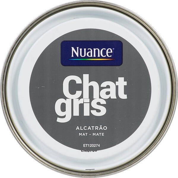 3505391054900 - Peinture MonoCrÃ¨me - Chat gri