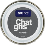 3505391054900 - Peinture MonoCrÃ¨me - Chat gri