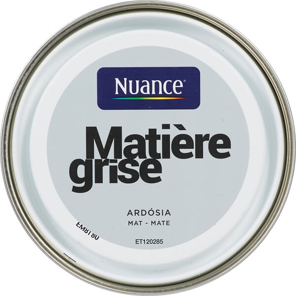3505391054924 - Peinture MonoCrÃ¨me - MatiÃ¨re