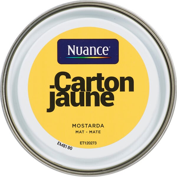 3505391055044 - Peinture MonoCrÃ¨me - Carton j