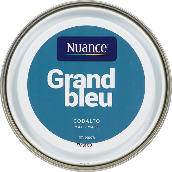 3505391055129 - Peinture MonoCrÃ¨me - Grand bl