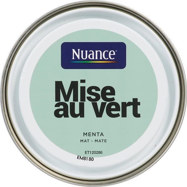 3505391055181 - Peinture MonoCrÃ¨me - Mise au