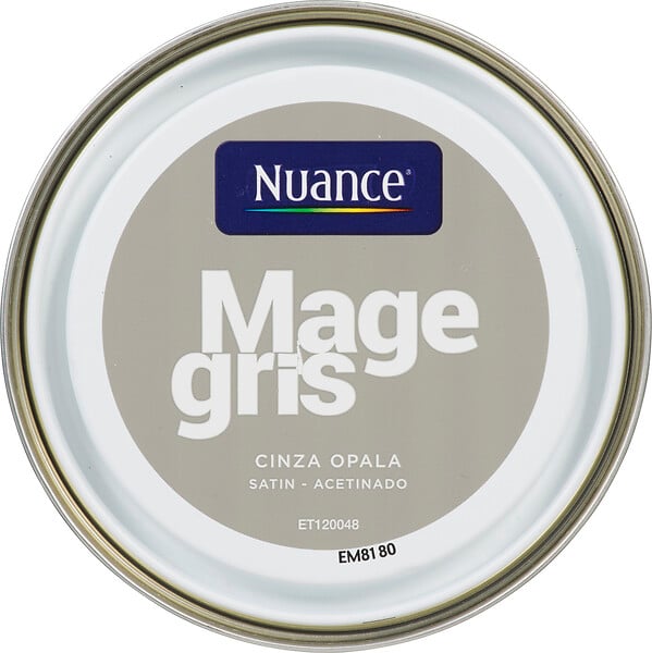 3505391055747 - Peinture MonoCrÃ¨me - Mage gri