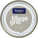 3505391055747 - Peinture MonoCrÃ¨me - Mage gri