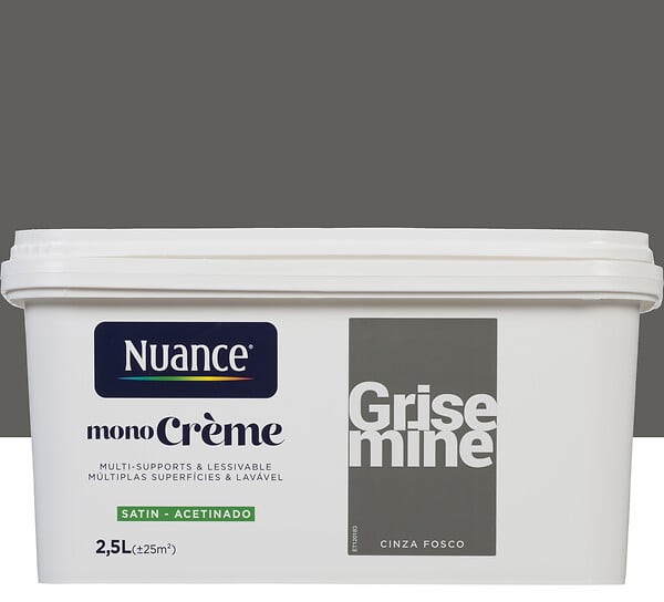 3505391056867 - Peinture MonoCrÃ¨me - Grise mi