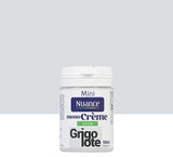 3505391058083 - Testeur peinture MonoCrÃ¨me -