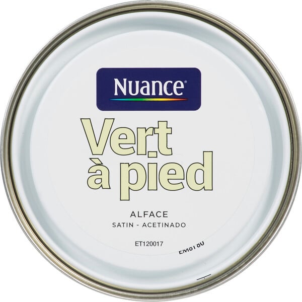H17340-0L5 - Peinture bicouche - Vert Ã  pi