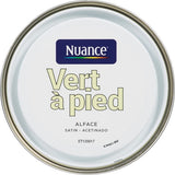 H17340-0L5 - Peinture bicouche - Vert Ã  pi