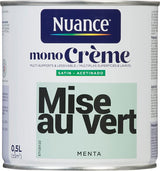 3505391056621 - Peinture MonoCrÃ¨me - Mise au