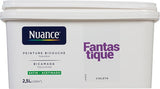 H17328-2L5 - Peinture bicouche - Fantastiqu