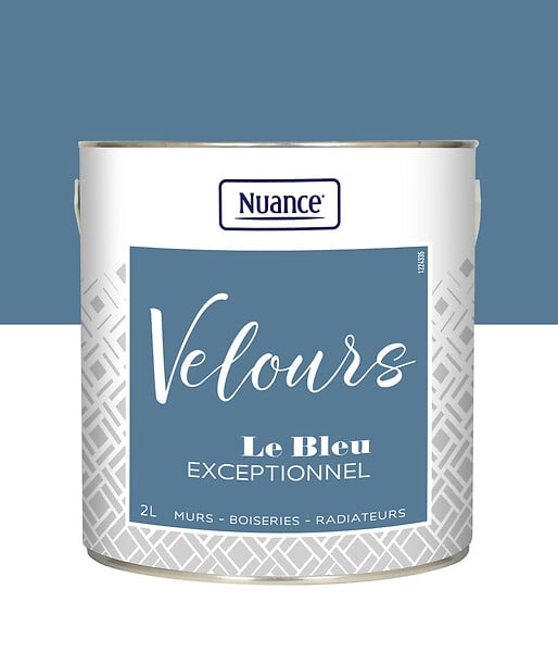 436259 - Peinture Velours - Bleu except