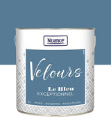 436259 - Peinture Velours - Bleu except