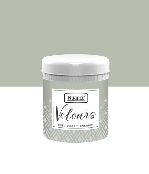 436270 - Testeur peinture Velours - Ver