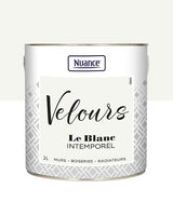 436242 - Peinture Velours - Blanc intem