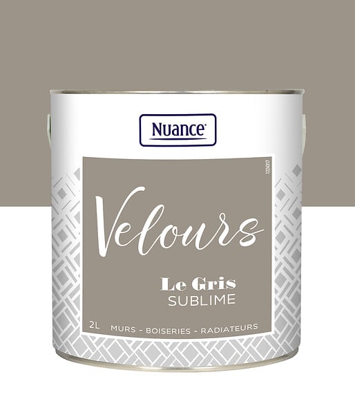 436235 - Peinture Velours - Gris sublim